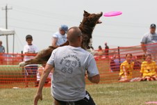 Enlarge photo 146