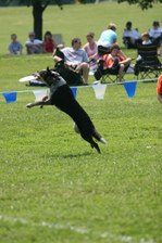 Enlarge photo 21