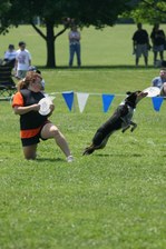 Enlarge photo 22