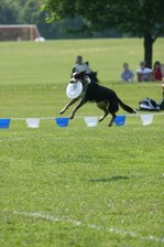 Enlarge photo 24