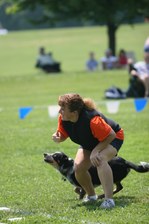 Enlarge photo 28