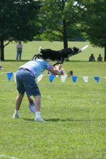 Enlarge photo 31