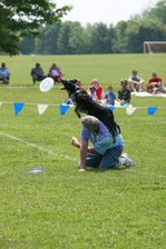 Enlarge photo 33