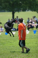 Enlarge photo 41
