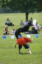 Enlarge photo 44