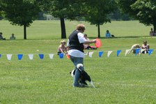 Enlarge photo 48
