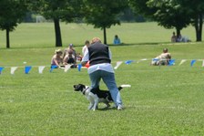Enlarge photo 49