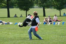 Enlarge photo 51