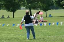Enlarge photo 52