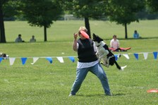 Enlarge photo 53