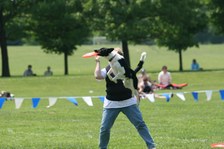 Enlarge photo 54