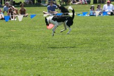 Enlarge photo 56