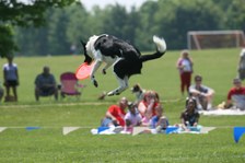 Enlarge photo 59