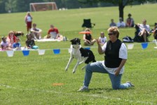 Enlarge photo 61