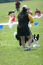 Enlarge photo 69