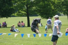 Enlarge photo 89
