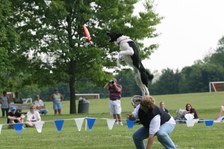 Enlarge photo 104