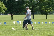 Enlarge photo 112