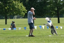 Enlarge photo 114