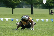 Enlarge photo 119