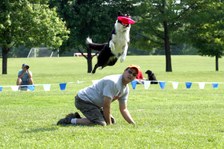 Enlarge photo 128