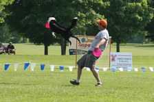 Enlarge photo 129