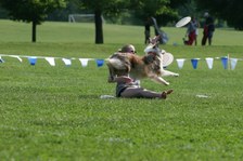 Enlarge photo 133