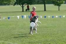 Enlarge photo 141