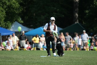 Enlarge photo 3