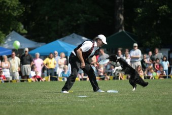 Enlarge photo 8
