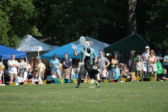 Enlarge photo 28