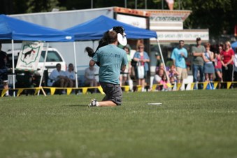 Enlarge photo 30