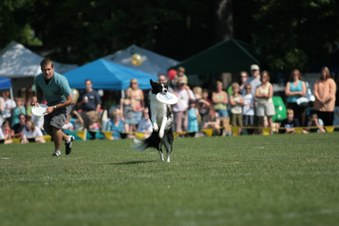 Enlarge photo 34