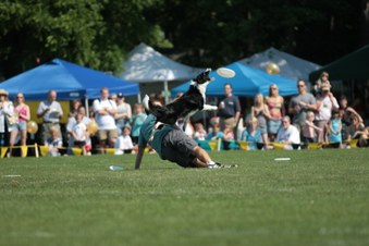 Enlarge photo 37