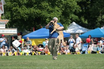 Enlarge photo 50