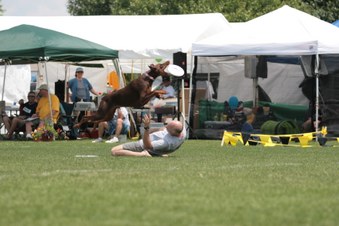 Enlarge photo 79