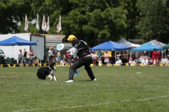 Enlarge photo 90