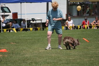 Enlarge photo 124