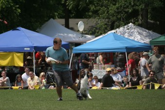 Enlarge photo 143