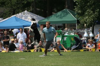 Enlarge photo 149