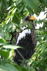 Enlarge photo 34