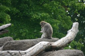 Enlarge photo 35