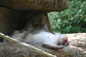 Enlarge photo 37