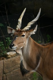 Enlarge photo 48