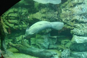 Enlarge photo 56