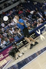 Enlarge photo 80
