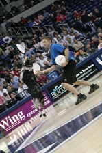 Enlarge photo 83