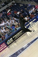 Enlarge photo 106