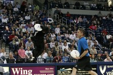 Enlarge photo 113