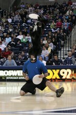 Enlarge photo 133